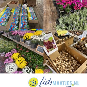 Bollenmarkt op 10-10 krijgt een 10