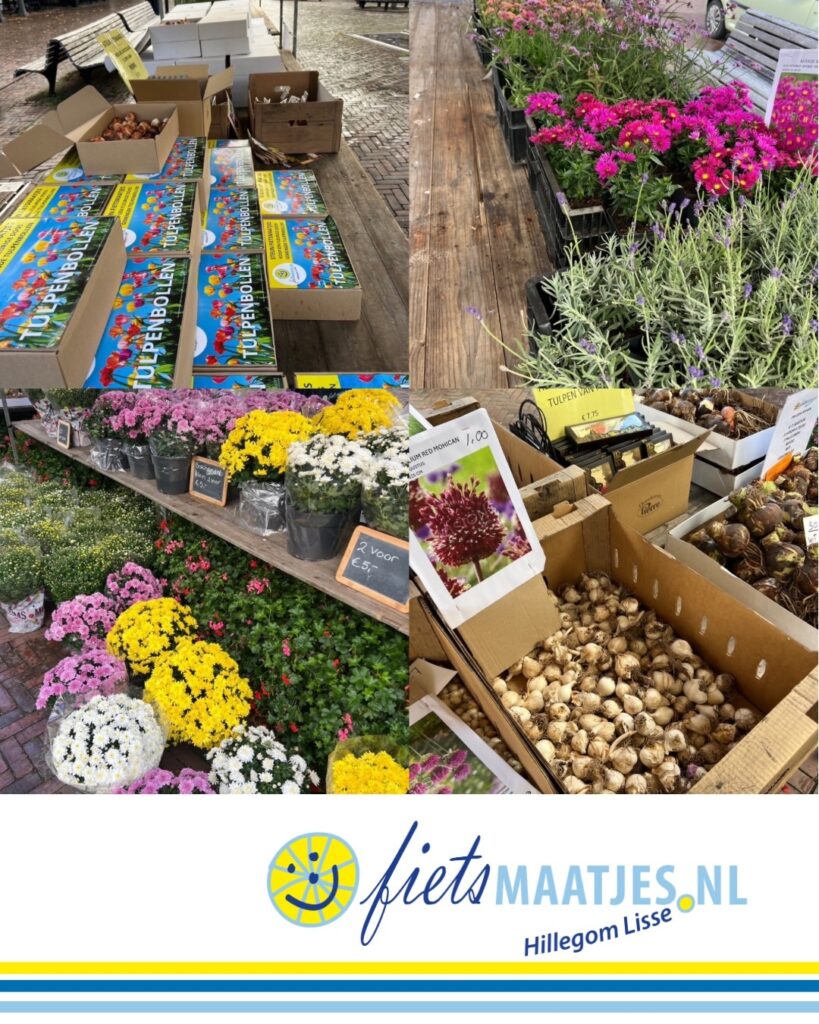 Bollenmarkt 2026 kleurrijk aanbod